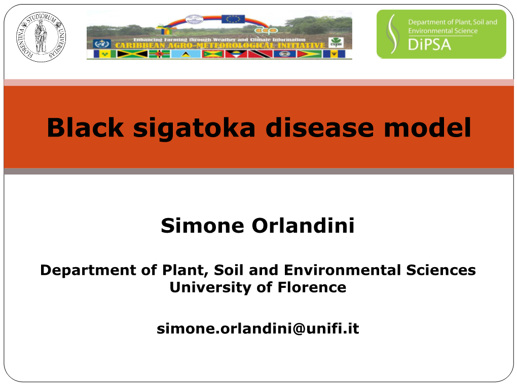 Black Sigatoka Disease Model