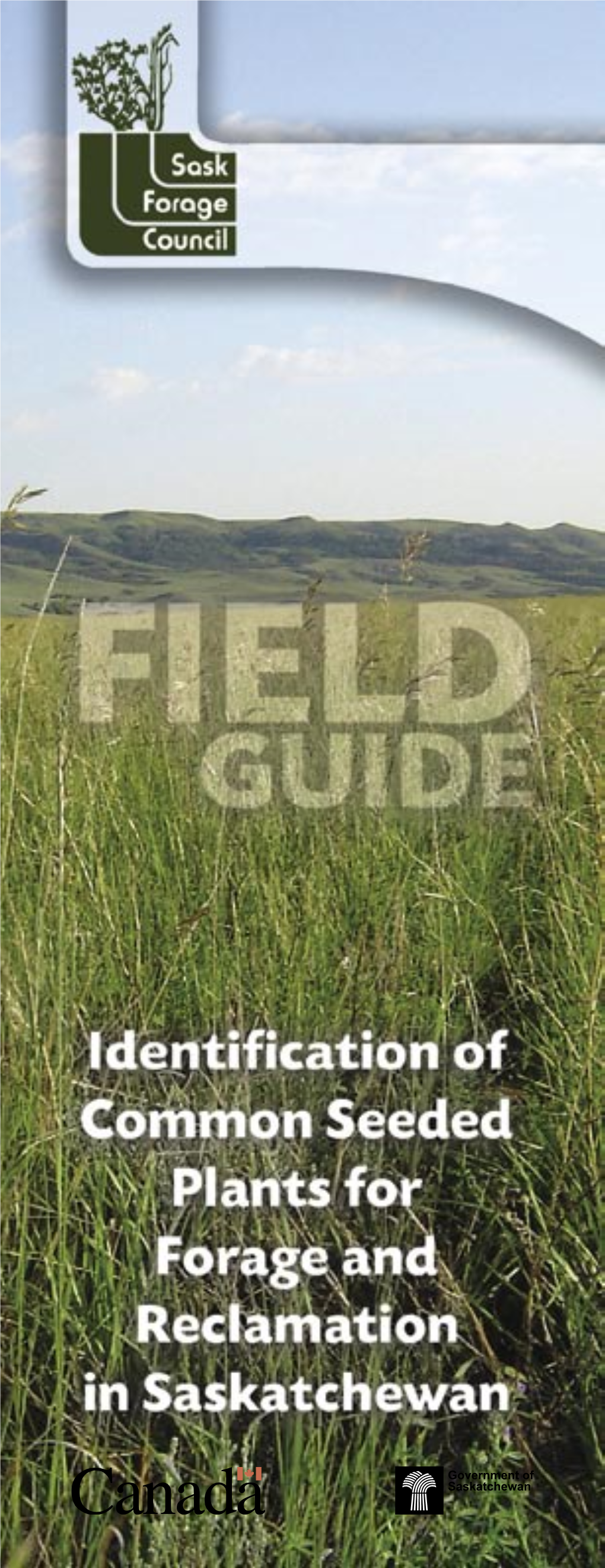 Common Seeded Plants for Forage and Reclamation Found in Pastures, Hayland, and Reclaimed Sites Throughout Saskatchewan