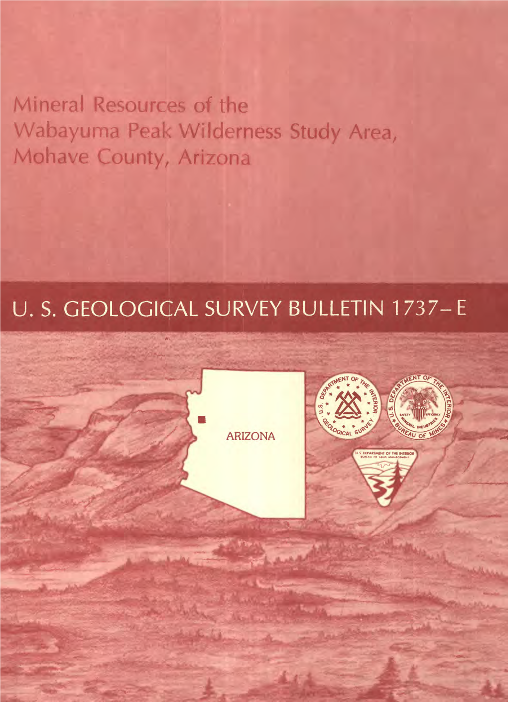 Mineral Resources of the Wabayuma Peak Wilderness Study Area, Mohave County, Arizona