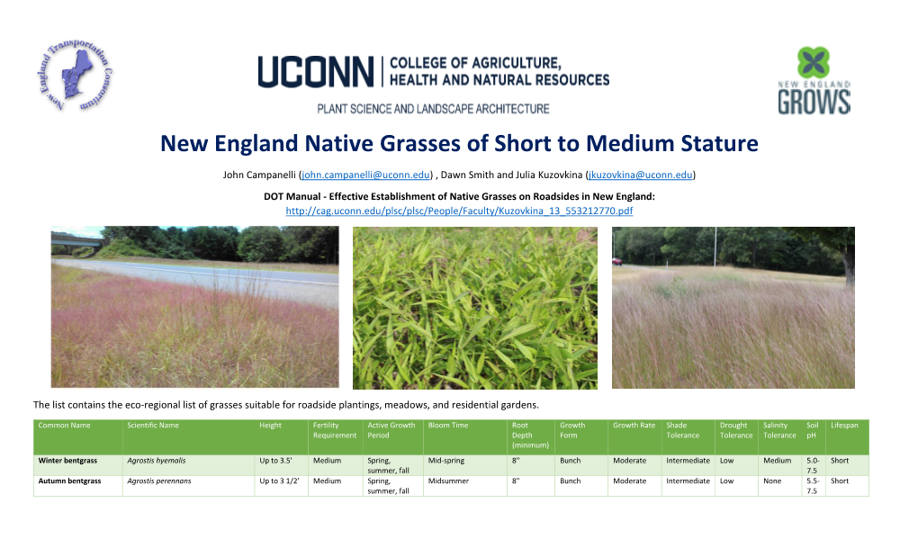 New England Native Grasses of Short to Medium Stature