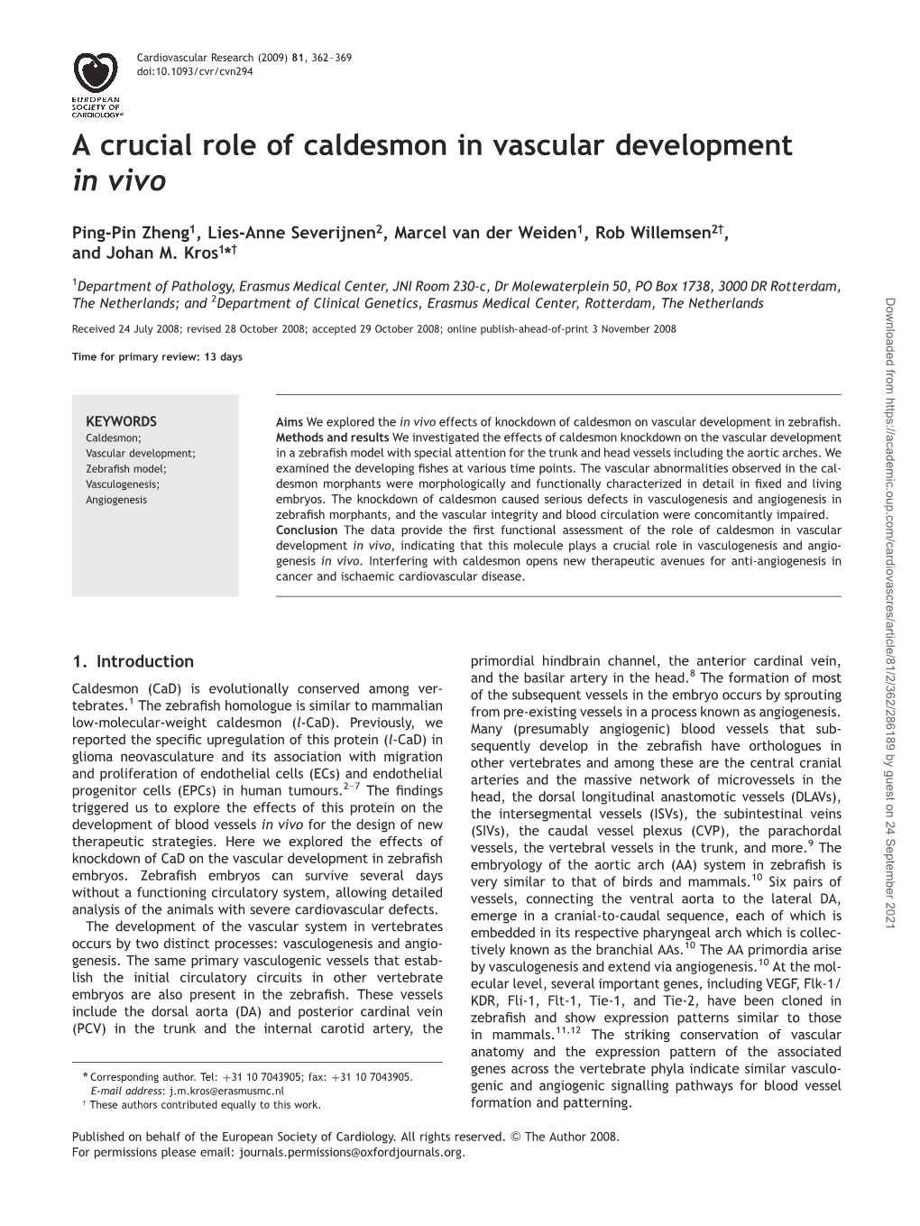 A Crucial Role of Caldesmon in Vascular Development in Vivo