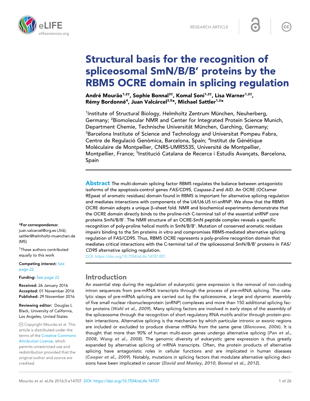 Structural Basis for the Recognition of Spliceosomal Smn/B/B' Proteins By