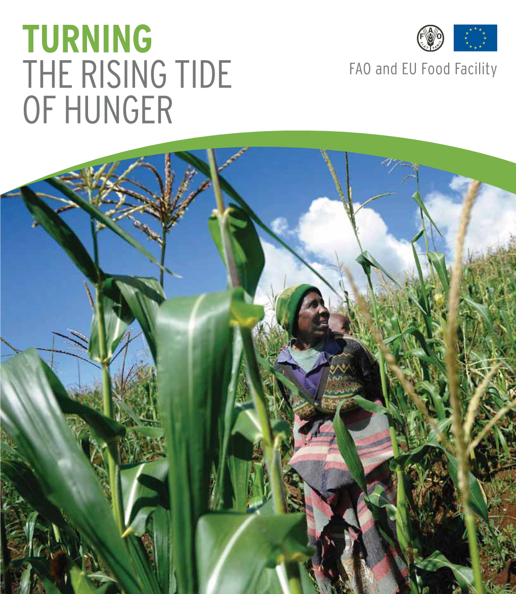 Turning the Rising Tide of Hunger