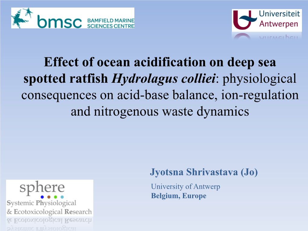 Effect of Ocean Acidification on Deep Sea Spotted Ratfish Hydrolagus Colliei