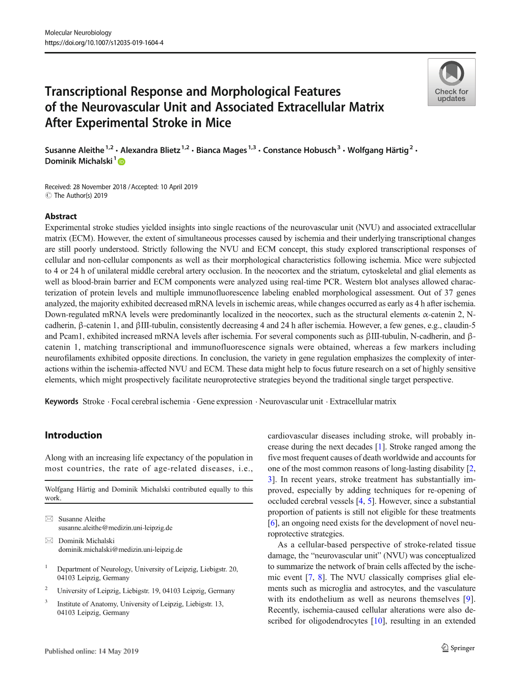 Transcriptional Response and Morphological Features of the Neurovascular Unit and Associated Extracellular Matrix After Experimental Stroke in Mice