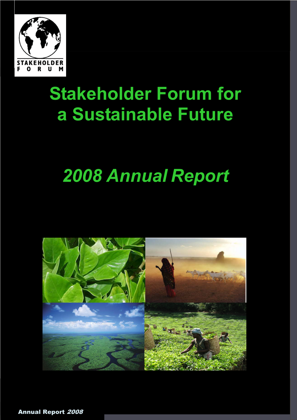 SF Annual Report