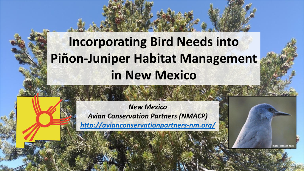 Incorporating Bird Needs Into Piñon-Juniper Habitat Management in New Mexico
