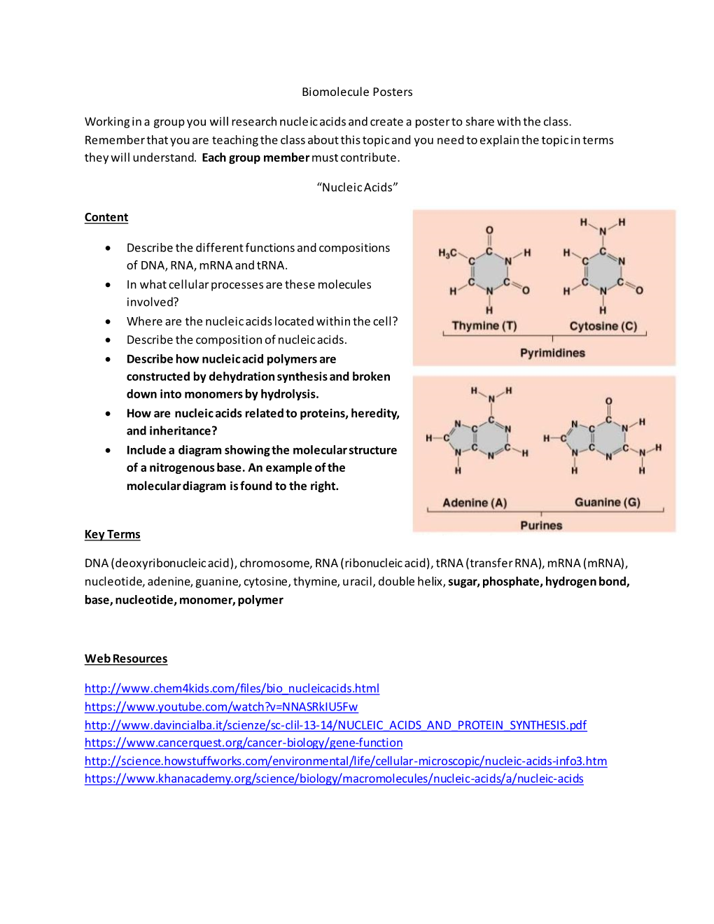 Biomolecule Posters Working in a Group You Will Research Nucleic