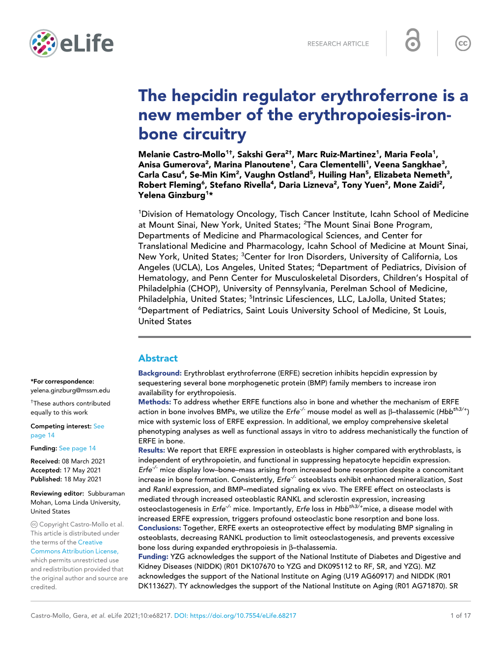 The Hepcidin Regulator Erythroferrone Is a New Member of the Erythropoiesis-Iron