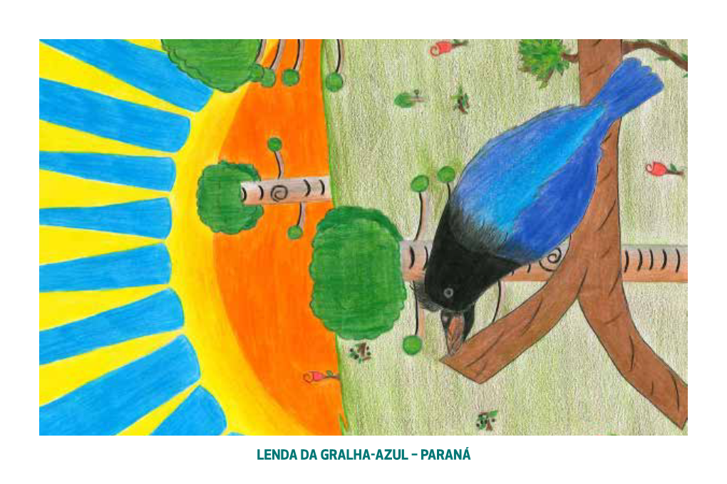 LENDA DA GRALHA-AZUL – PARANÁ Lenda Da Gralha-Azul Paraná