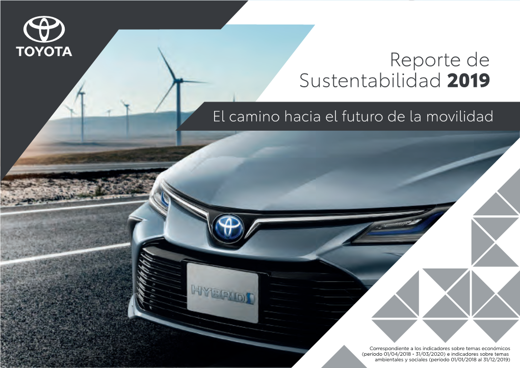 Reporte De Sustentabilidad 20192019