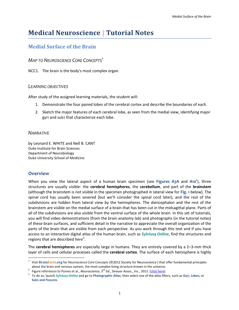 01 06 Medial Surface of the Brain-NOTES.Pdf