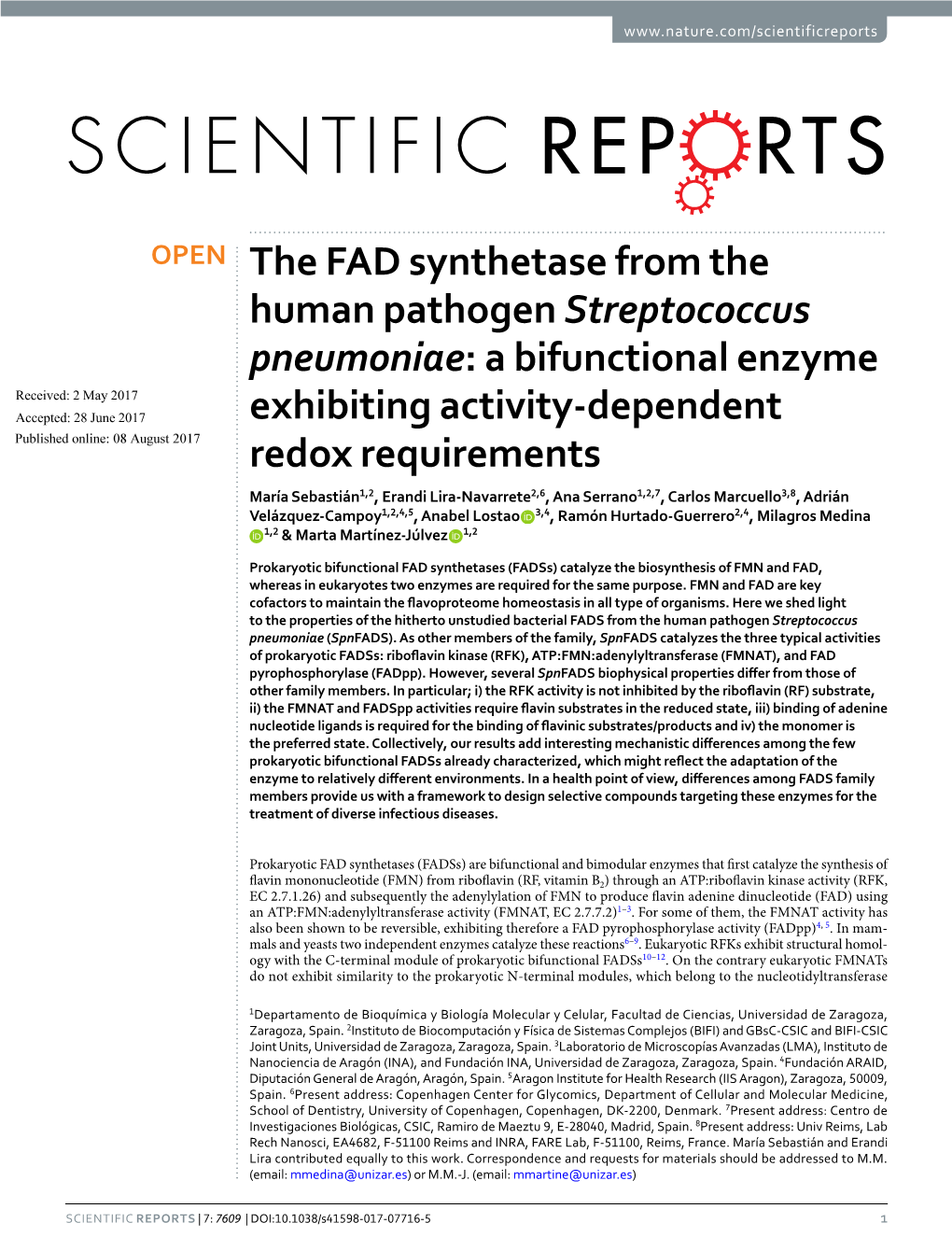 The FAD Synthetase from the Human Pathogen Streptococcus Pneumoniae: a Bifunctional Enzyme Exhibiting Activity-Dependent Redox R