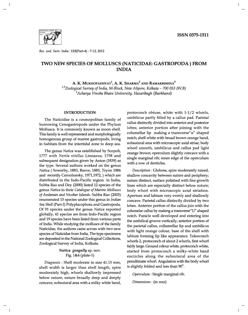 Two New Species of Molluscs (Naticidae: Gastropoda) from India