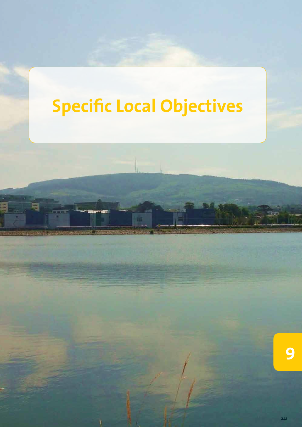 Special Local Objectives