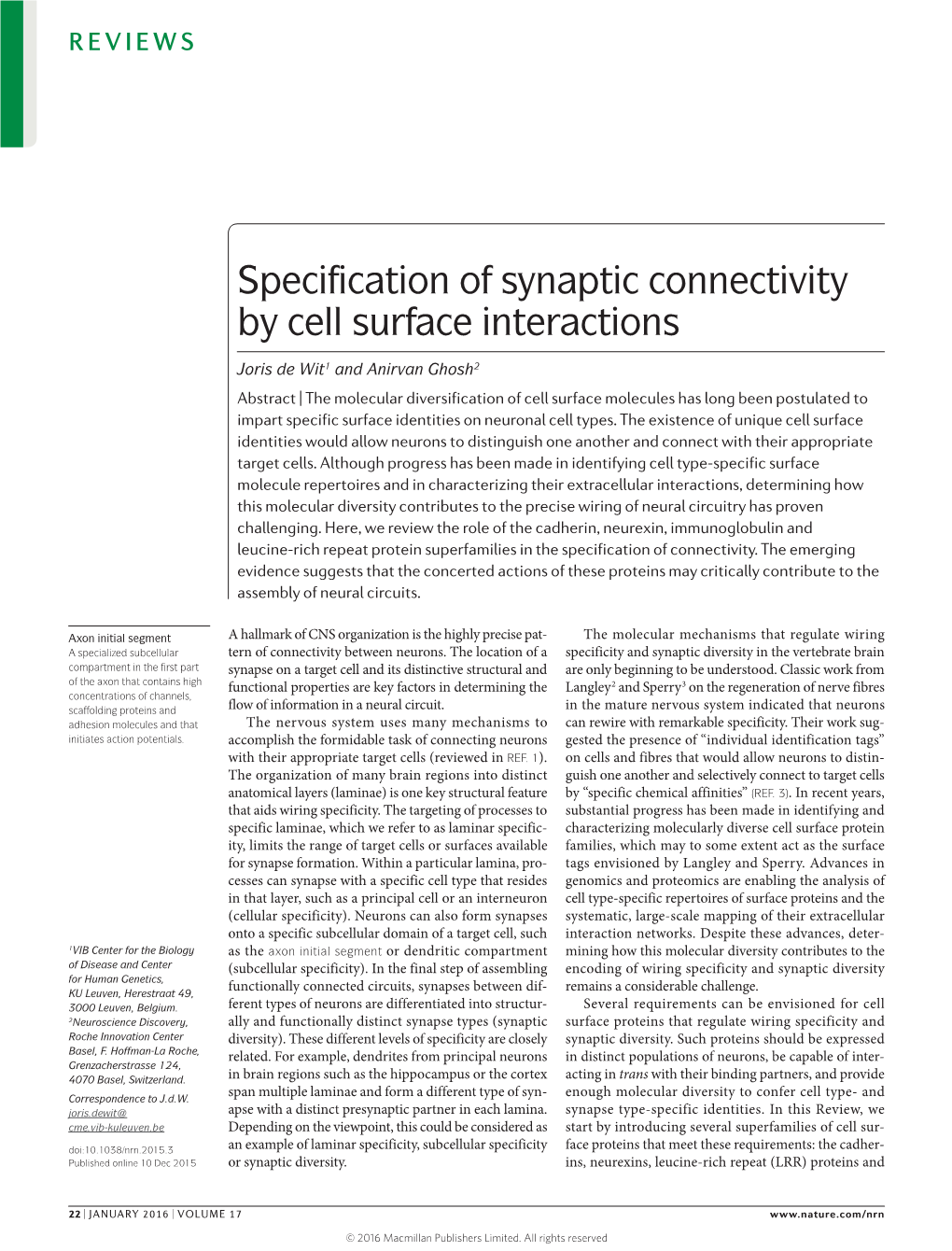 Specification of Synaptic Connectivity by Cell Surface Interactions