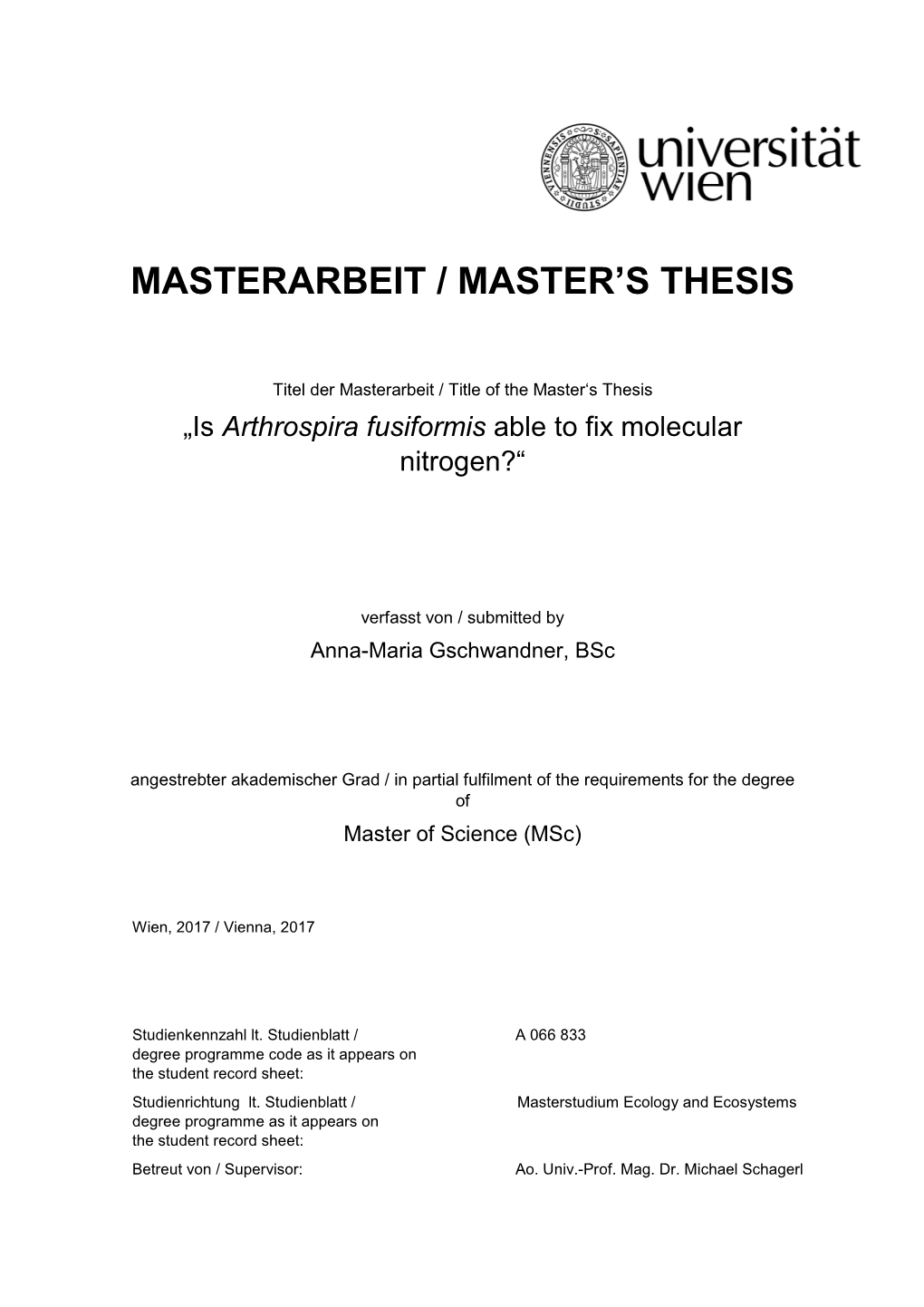 Masterarbeit / Master's Thesis