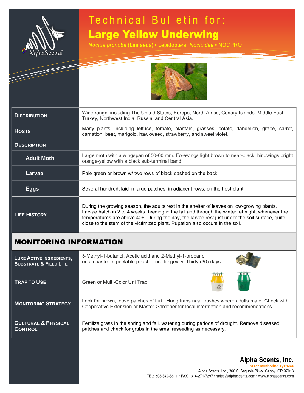 Technical Bulletin For: Information Technology Solutions Large Yellow Underwing Noctua Pronuba (Linnaeus) • Lepidoptera, Noctuidae • NOCPRO