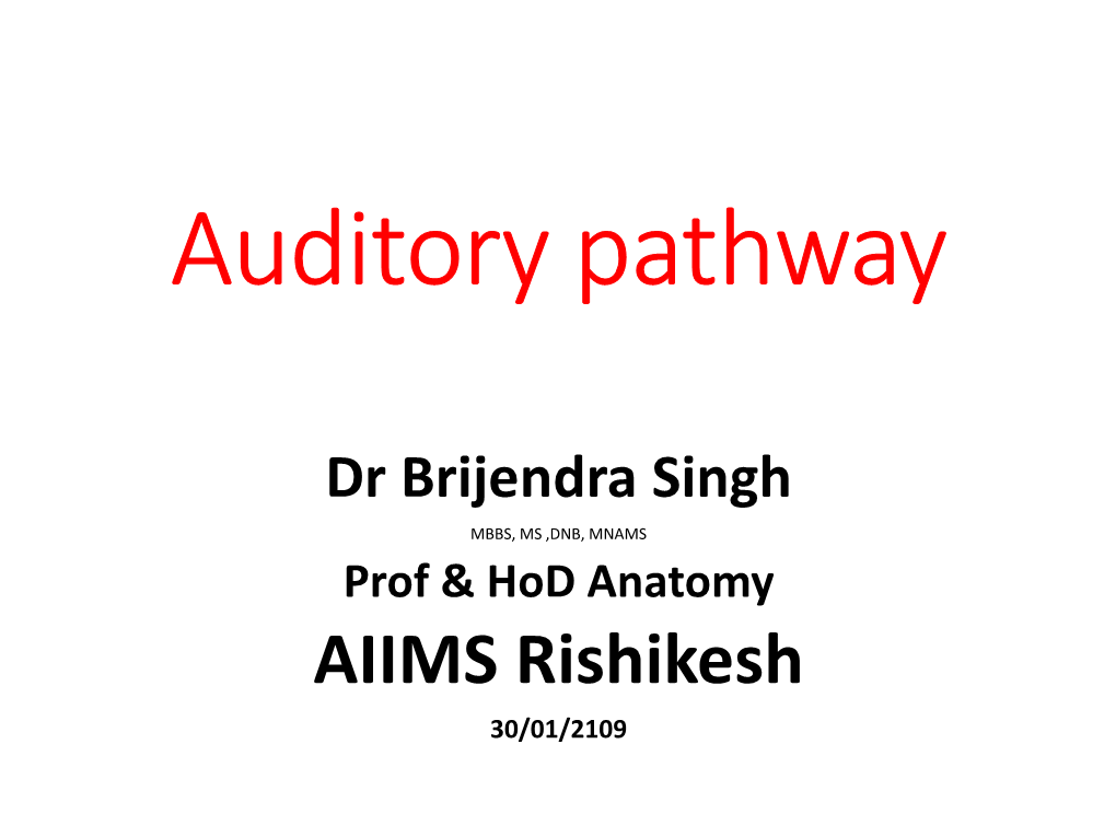 Auditory Pathway