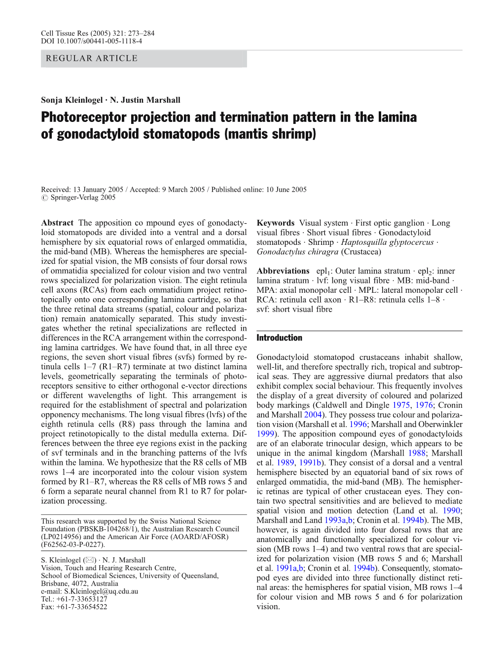 Photoreceptor Projection and Termination Pattern in the Lamina of Gonodactyloid Stomatopods (Mantis Shrimp)