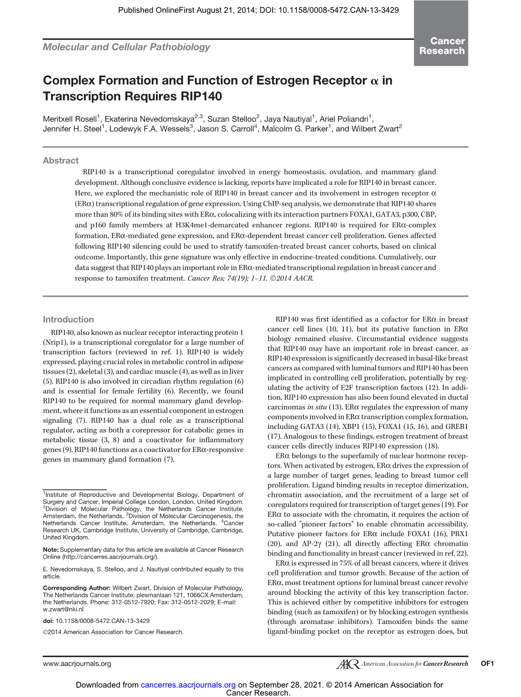 Complex Formation and Function of Estrogen Receptor a in Transcription Requires RIP140