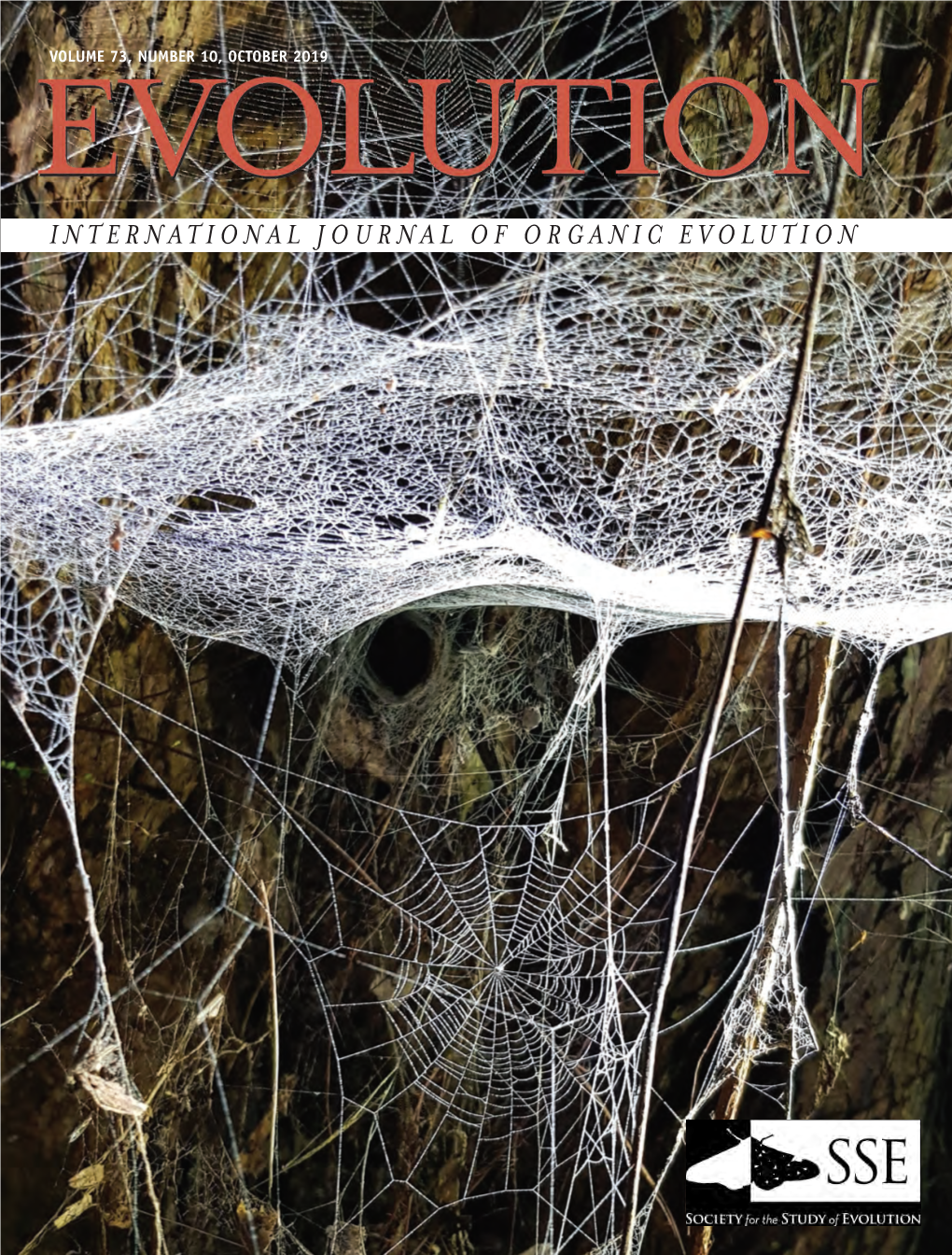 Evolution of Aerial Spider Webs Coincided with Repeated Structural Optimization of Silk Anchorages Jonas O