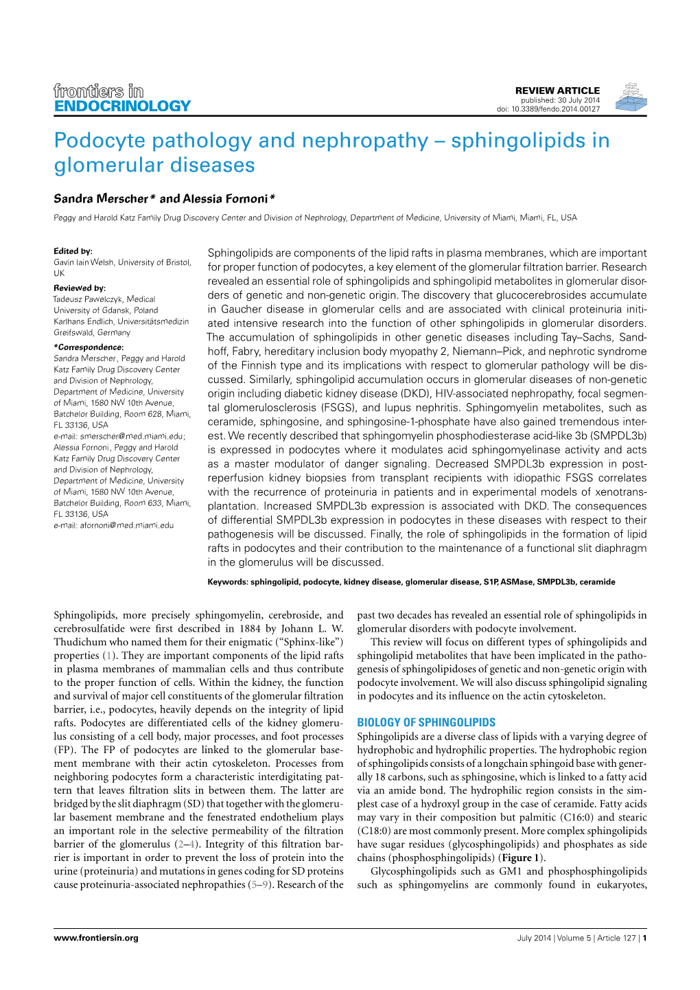 Sphingolipids in Glomerular Diseases