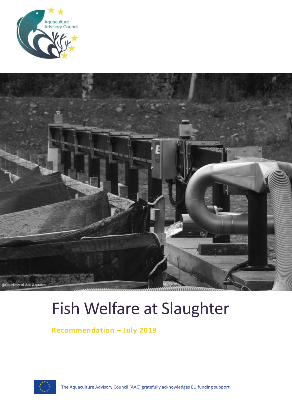 Fish Welfare at Slaughter