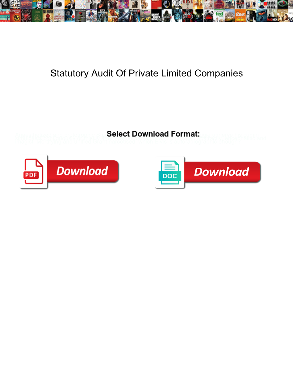 Statutory Audit of Private Limited Companies