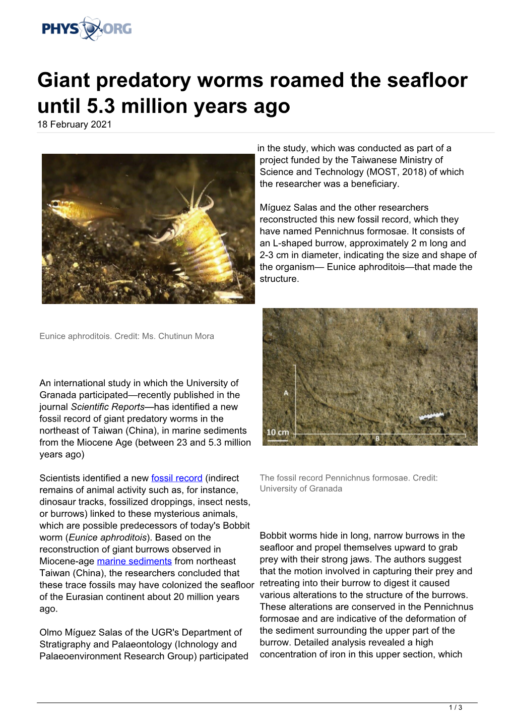 Giant Predatory Worms Roamed the Seafloor Until 5.3 Million Years Ago 18 February 2021