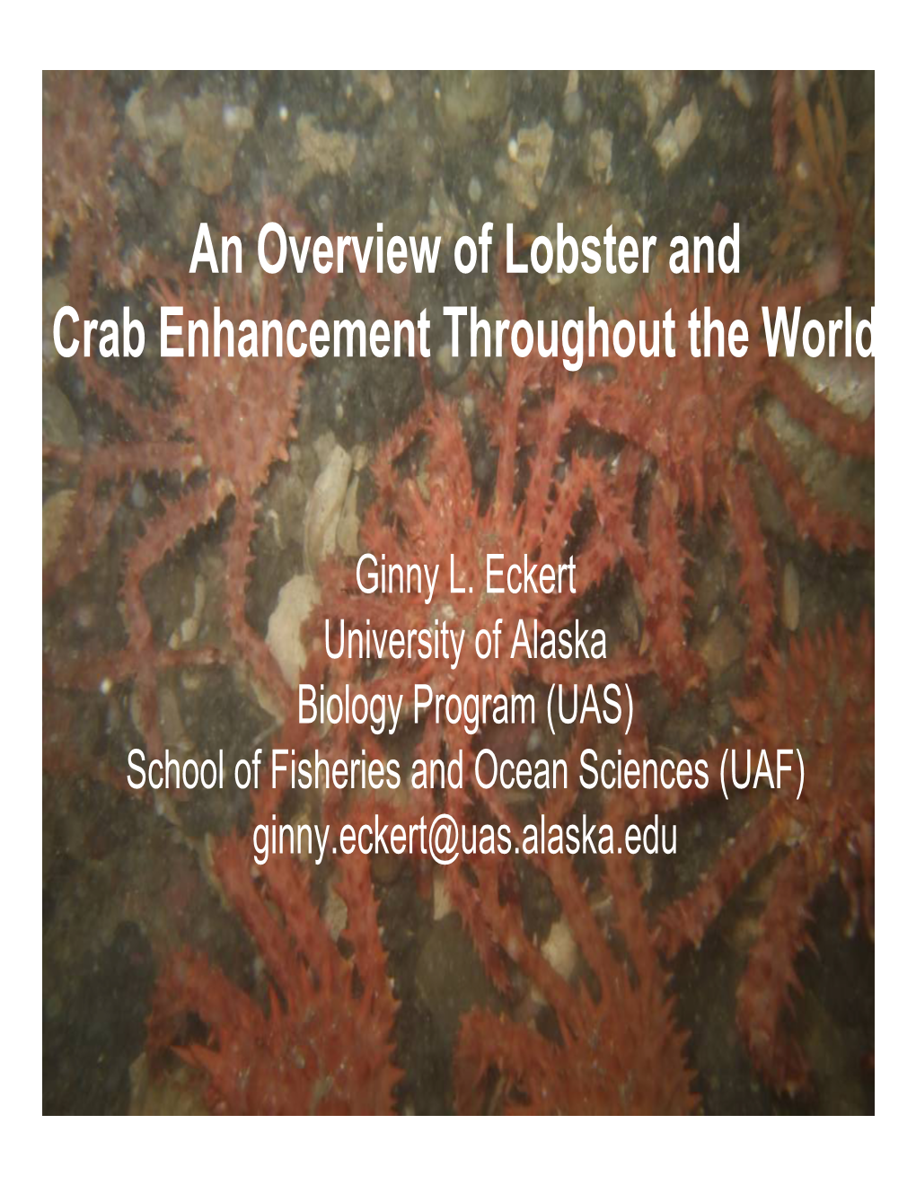 An Overview of Lobster and Crab Enhancement Throughout the World