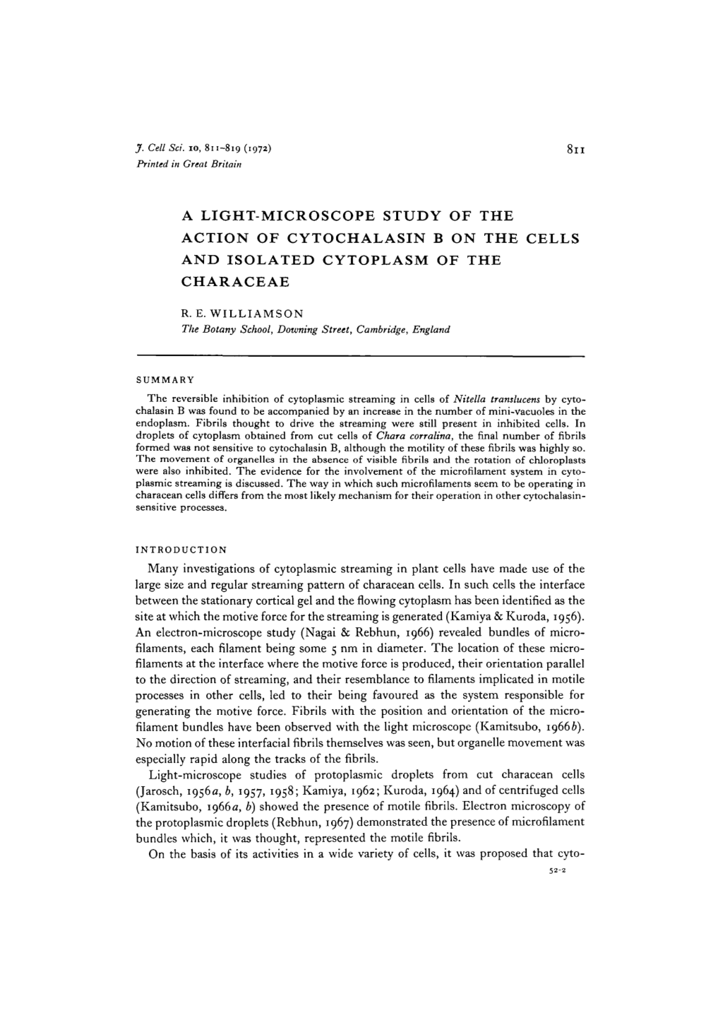 A Light-Microscope Study of the Action of Cytochalasin B on the Cells and Isolated Cytoplasm of the Characeae