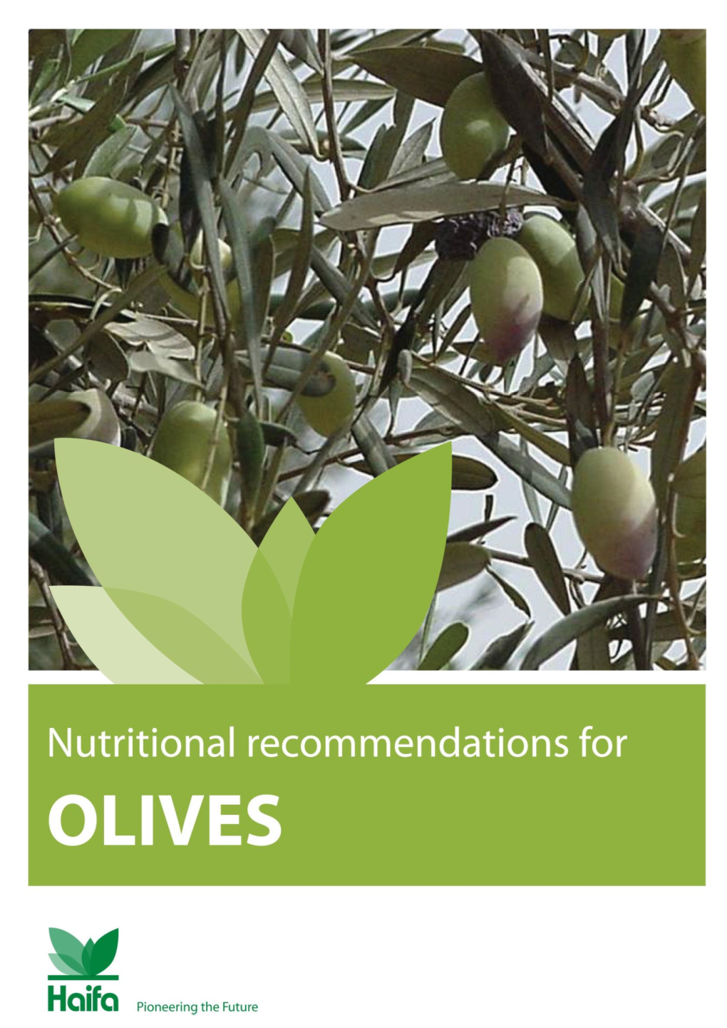 Nutritional Recommnedations for Olives