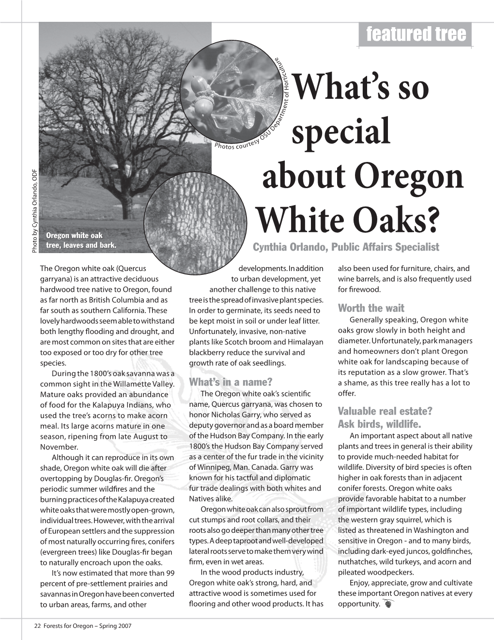 What's So Special About Oregon White Oaks?