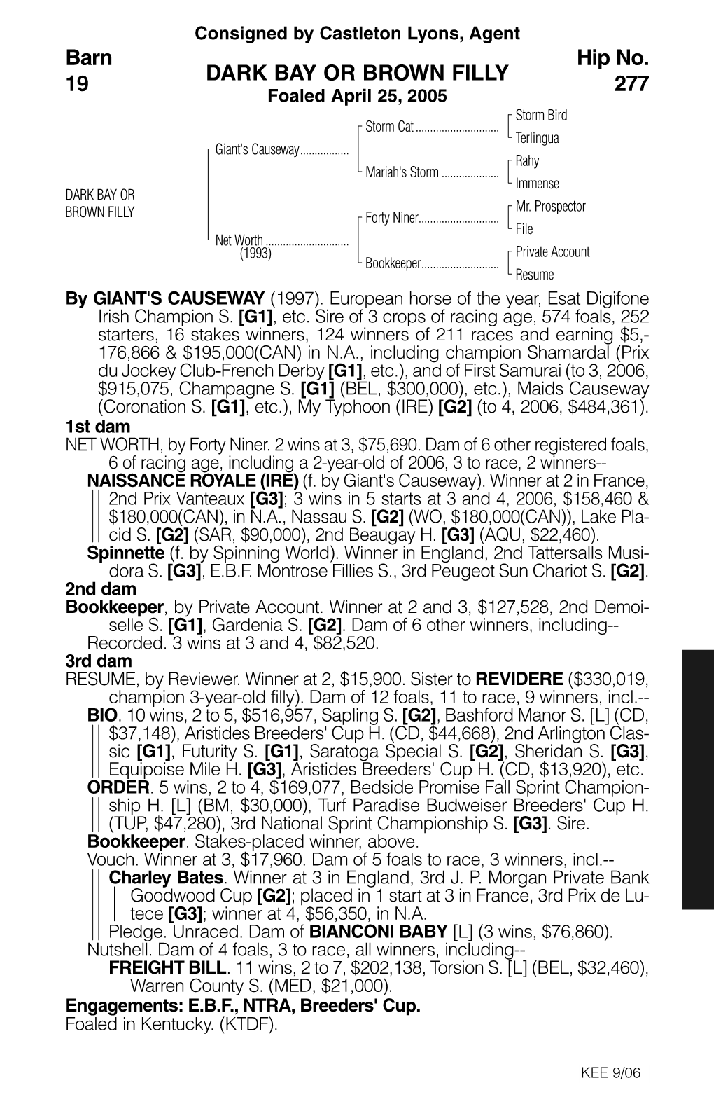 DARK BAY OR BROWN FILLY Barn 19 Hip No