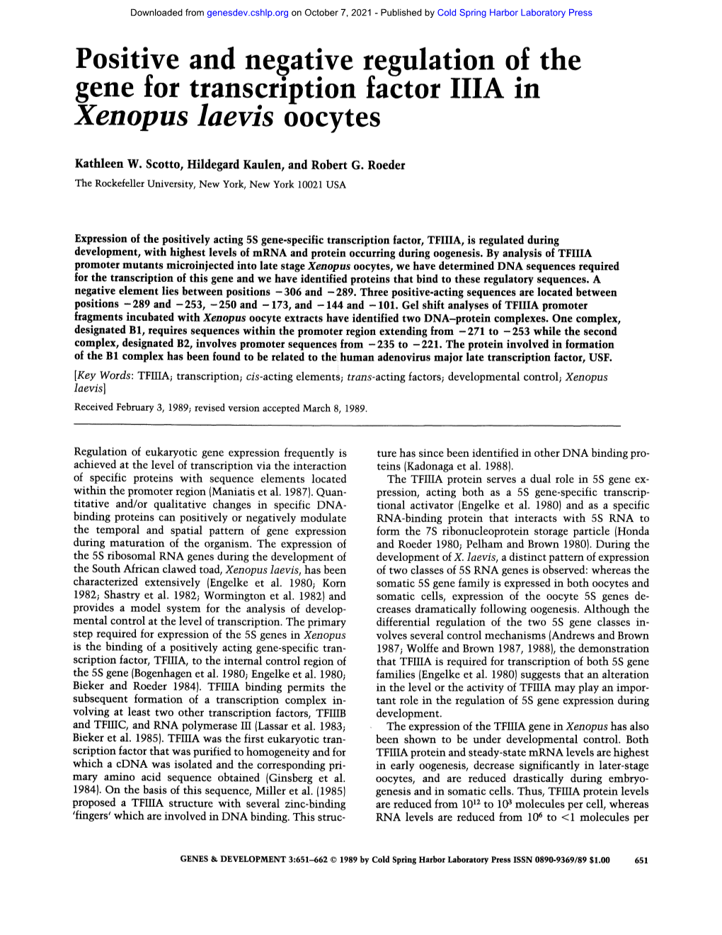 Xenopus Laevis Oocytes