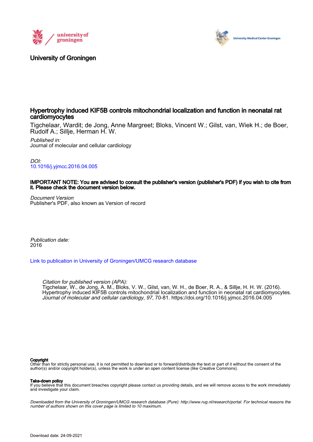 Hypertrophy Induced KIF5B Controls Mitochondrial Localization And