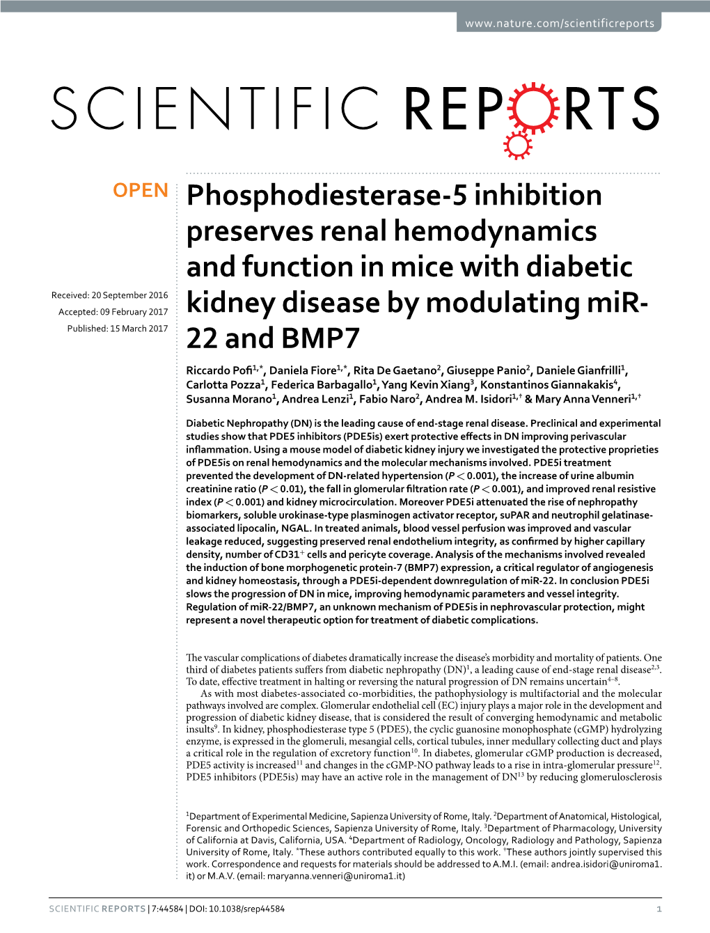 Phosphodiesterase-5 Inhibition Preserves Renal