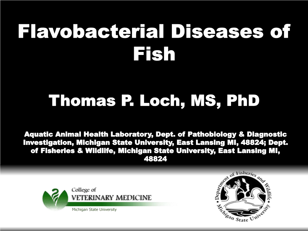 Flavobacterial Diseases of Fish