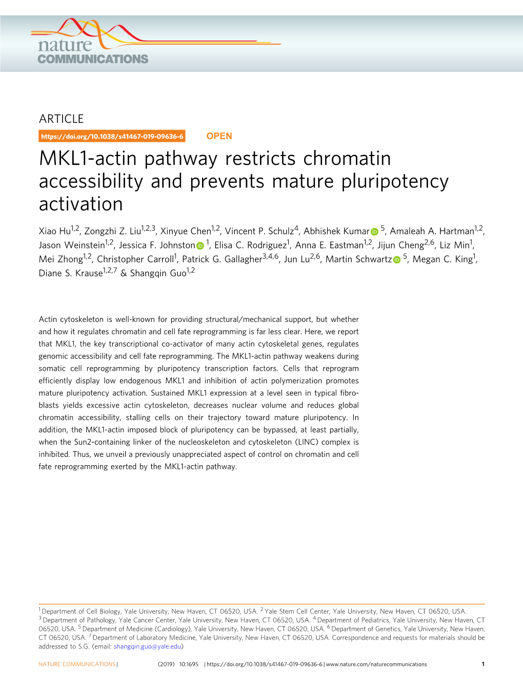 MKL1-Actin Pathway Restricts Chromatin Accessibility and Prevents Mature Pluripotency Activation