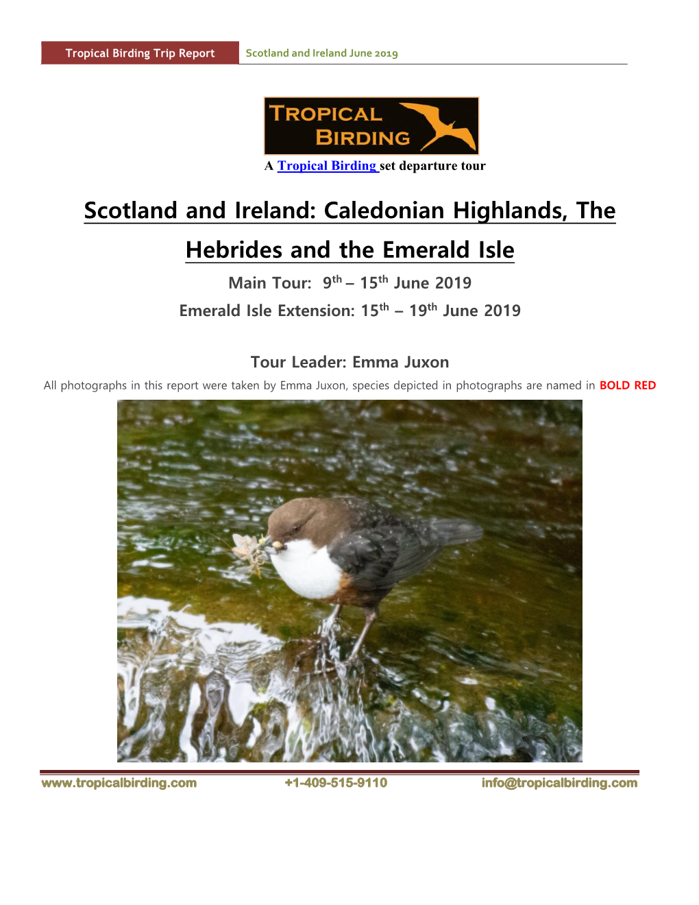 Scotland and Ireland June 2019