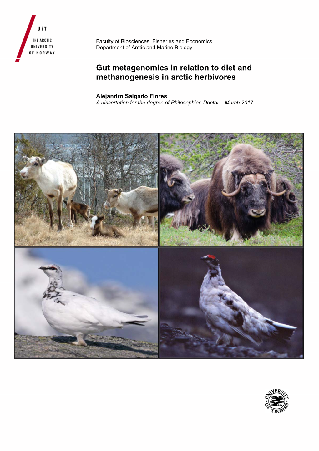 Gut Metagenomics in Relation to Diet and Methanogenesis in Arctic Herbivores