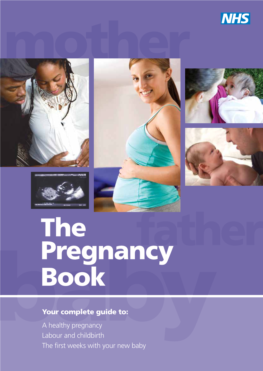 The Pregnancy Book