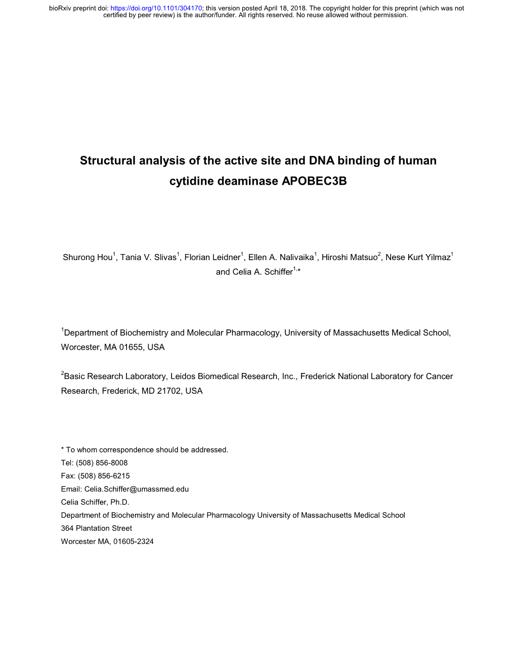 Structural Analysis of the Active Site and DNA Binding of Human Cytidine Deaminase APOBEC3B