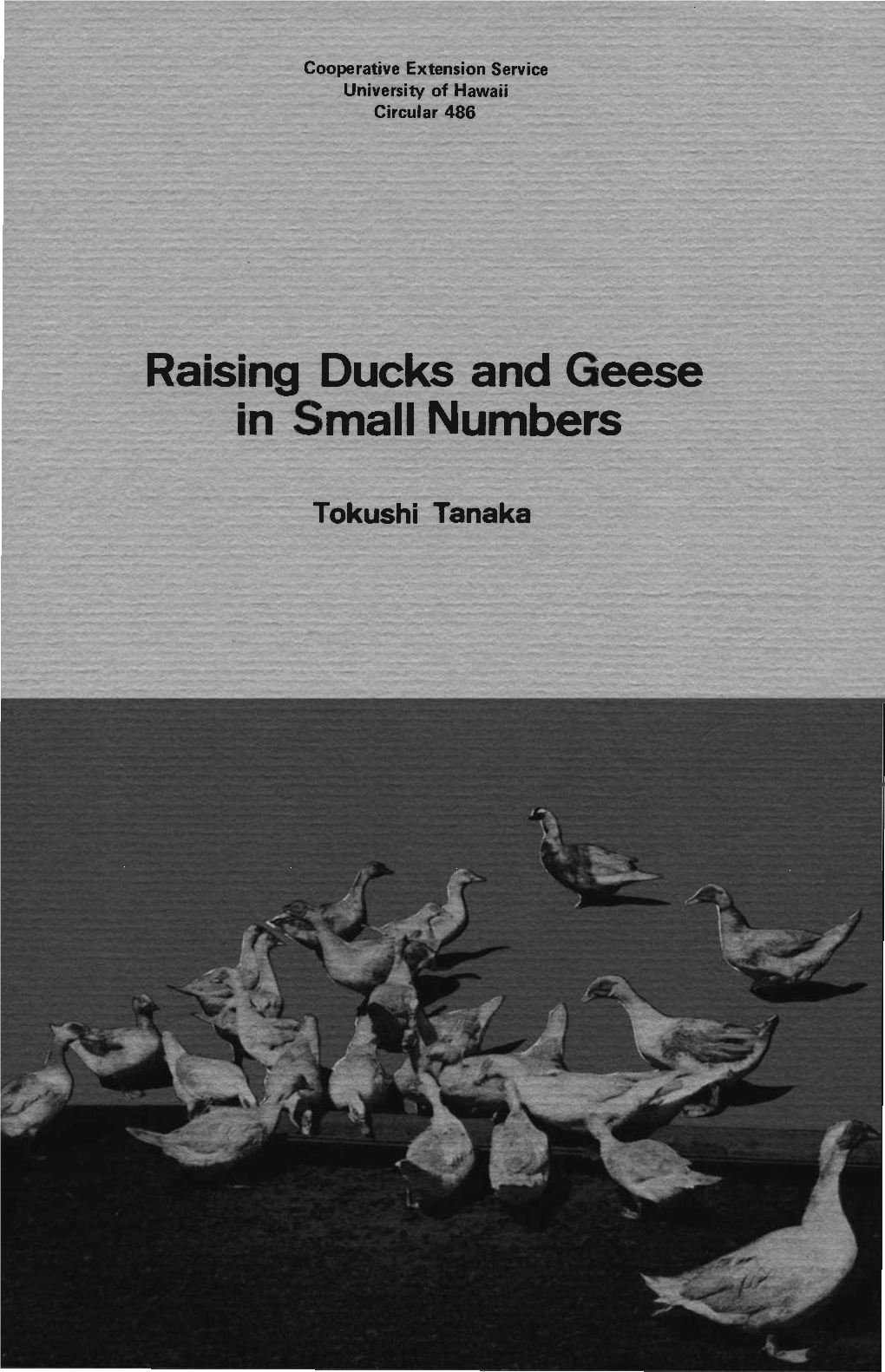 Raising Ducks and Geese in Small Numbers