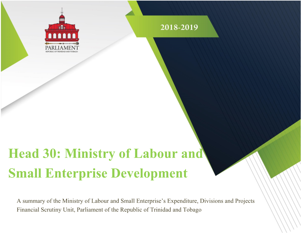 Head 30: Ministry of Labour and Small Enterprise Development