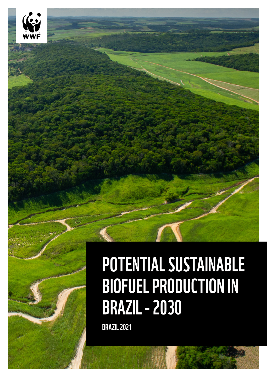 Potential Sustainable Biofuel Production in Brazil