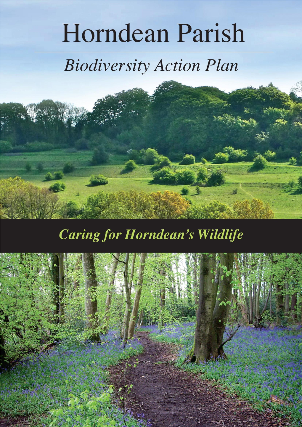 Horndean Biodiversity Action Plan Describes the Rich Natural Environment of the Parish and Is Both Timely and Inspirational