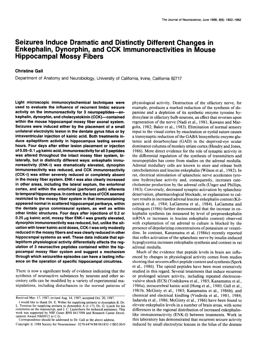 Seizures Induce Dramatic and Distinctly Different Changes in Enkephalin, Dynorphin, and CCK Lmmunoreactivities in Mouse Hippocampal Mossy Fibers