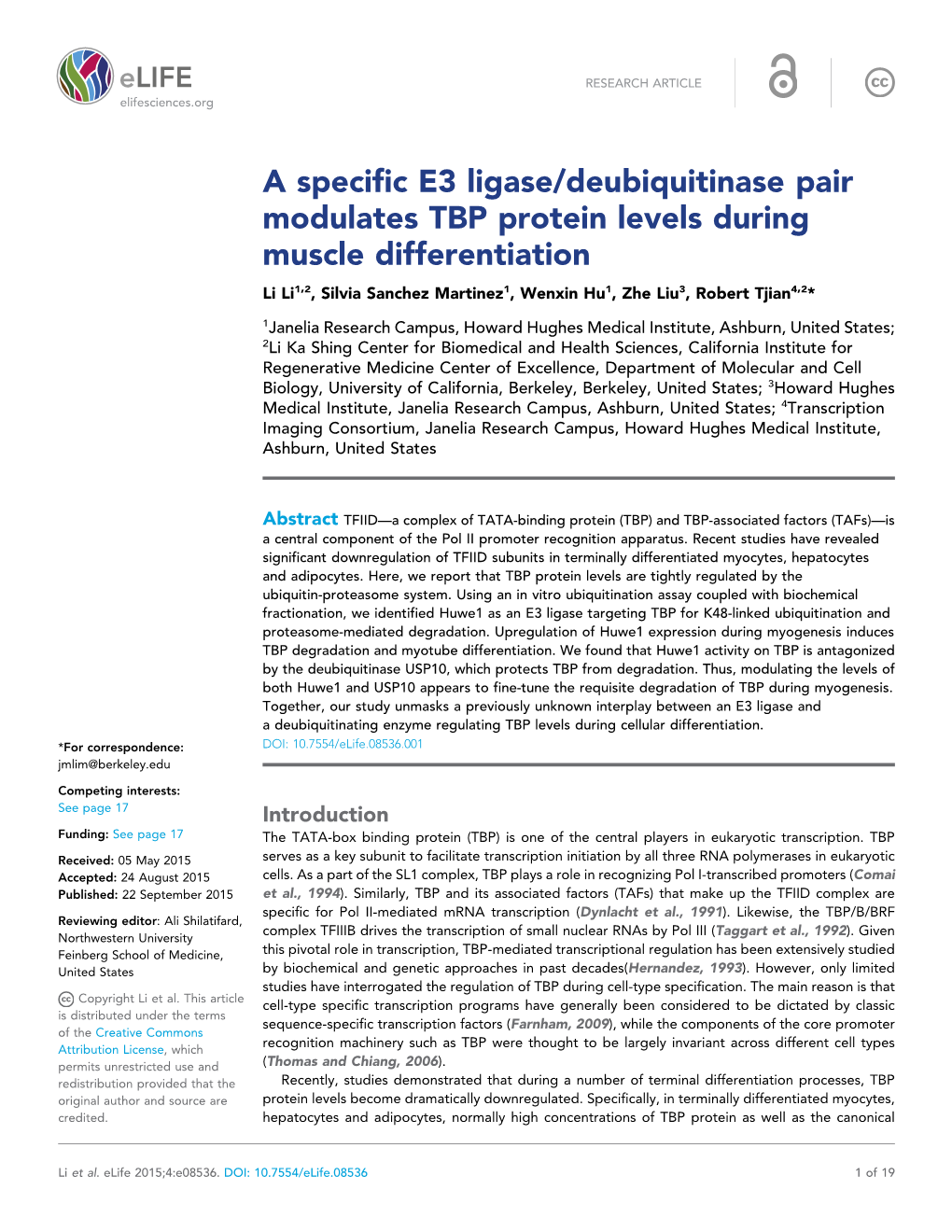 A Specific E3 Ligase/Deubiquitinase Pair Modulates TBP Protein Levels During Muscle Differentiation